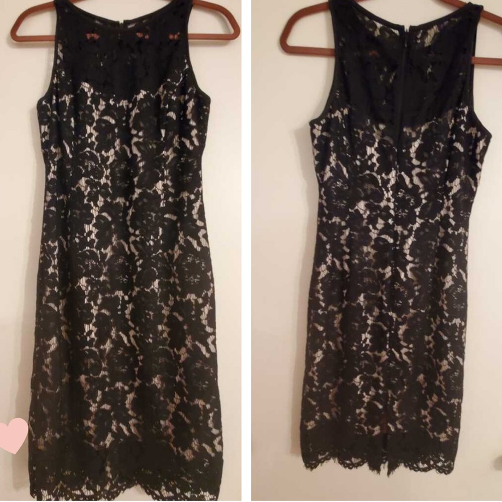 White House Black Market lace sheath dress Sz.2